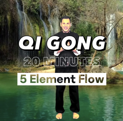 Qi Gong 20 minutes- 5 Element Flow